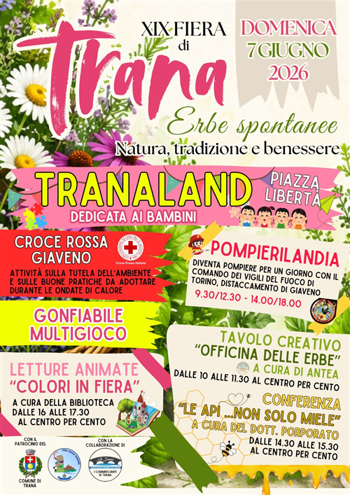 XlX Fiera di Trana